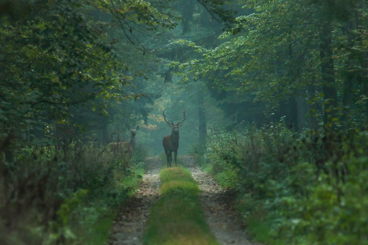 elemmiressoul's tweet photo. calmness in nature. https://t.co/fH8kQmudyb
