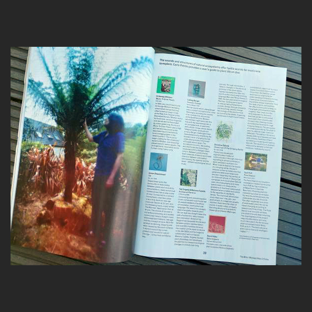 Review of Jeroen Diepenmaat's album 'Tak' (2018) in article about plant music in the latest edition of <a href="/thewiremagazine/">The Wire Magazine</a>! This album sold out long ago, but you can still get the download (total playing time of about 4,5 hours!) > escrec.bandcamp.com/album/tak