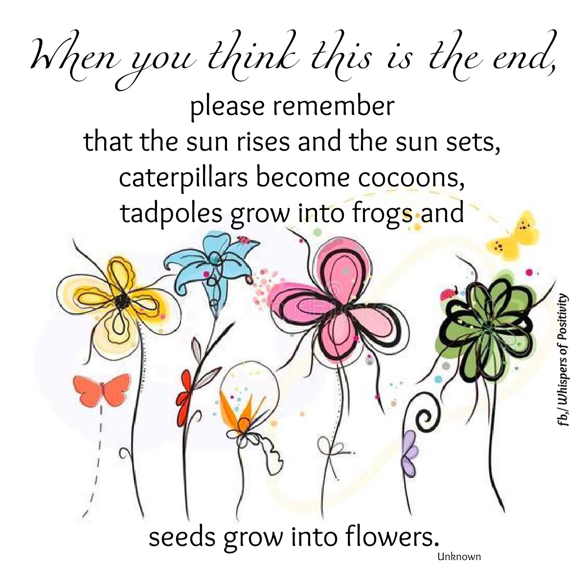 When you think this is the end, please remember that the sun rises and the sun sets, caterpillars become cocoons, tadpoles grow into frogs and seeds grow into flowers. - Unknown Author ~ #Inspiration