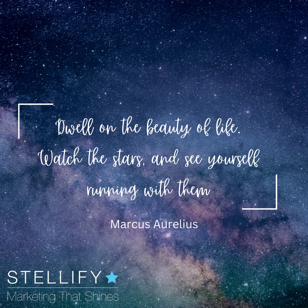 stellifymktg's tweet photo. When things get messy there's nothing to do but pause, look up and redirect.

If that marketing plan's gathering dust or never got written book a consultation with us to gain a fresh perspective: https://t.co/dkYTc37ZoO https://t.co/2LOwbvU1KL