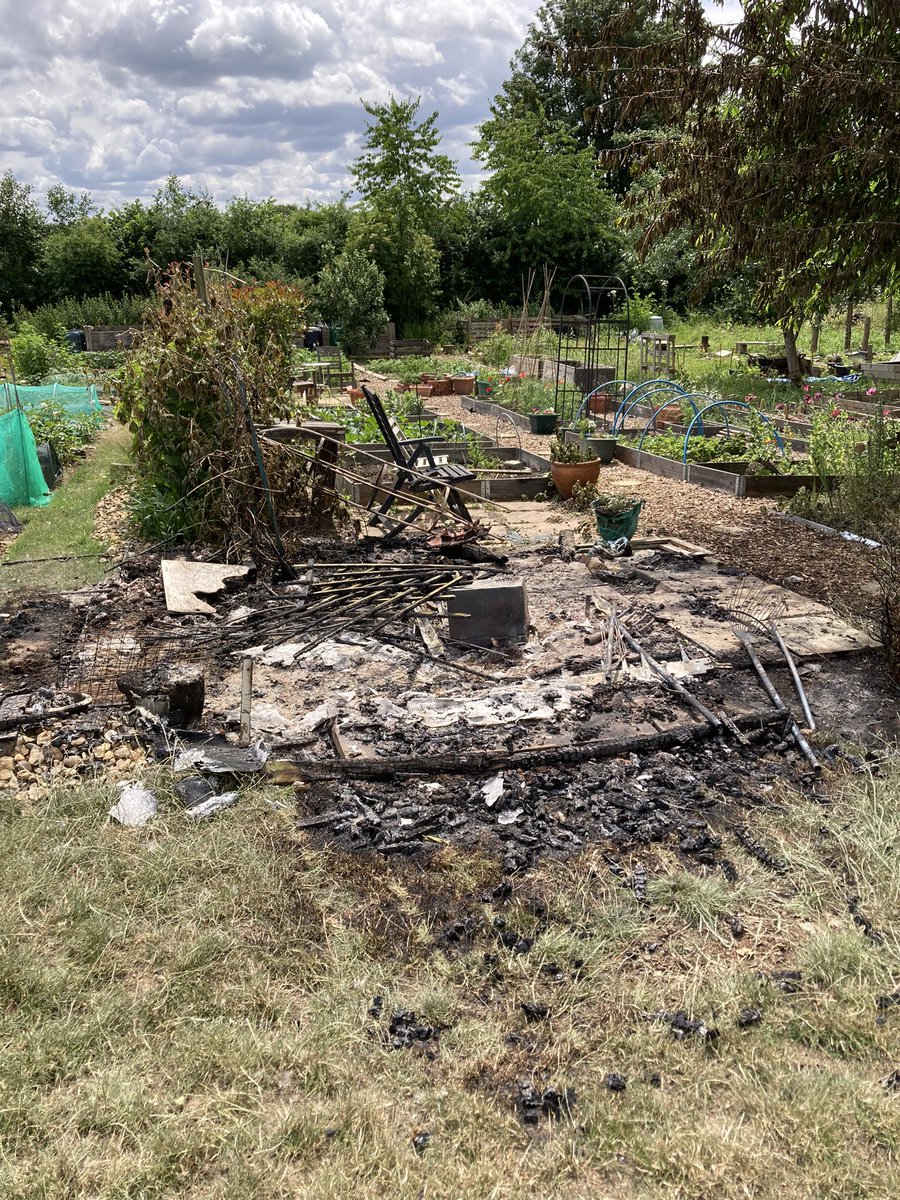 Joanna Di-Bella tweet media