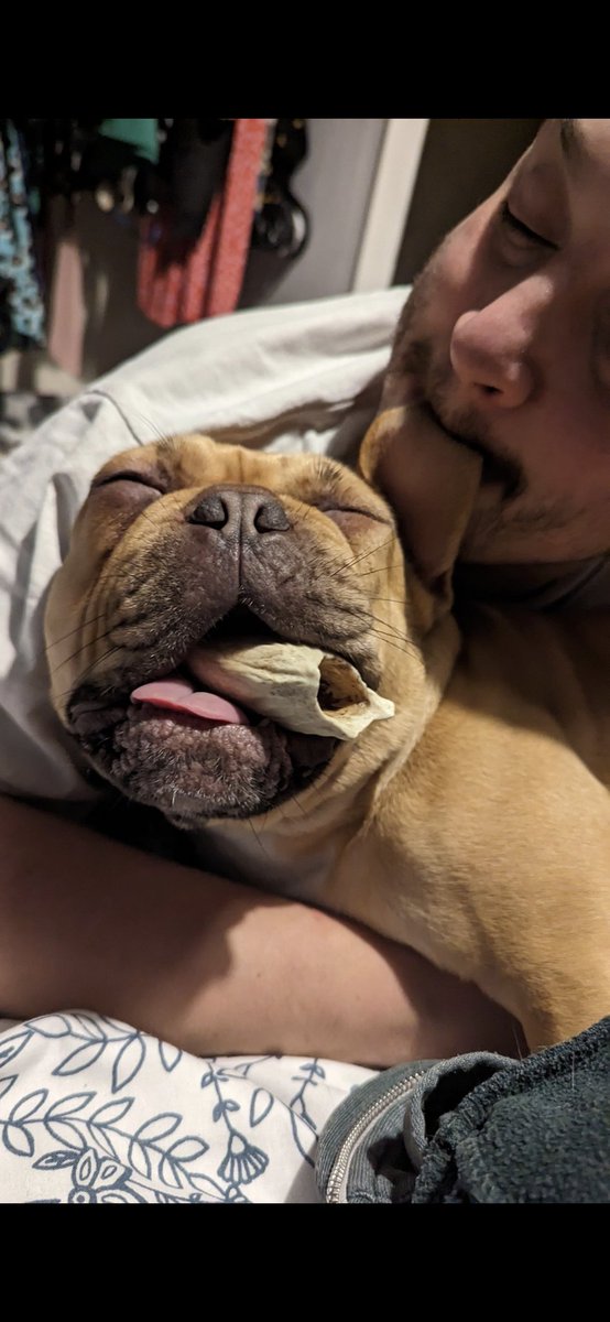 AshAPCustoms's tweet image. RIP little dude, I love you. Can't believe you're gone, having you for such a short time.

Cooper 1/5/2020-26/6/23