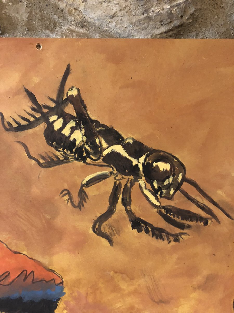 shafferz1's tweet photo. Depictions of Pinocchio’s cricket friend at the Pinocchio museum in Florence, Italy.  Anyone know what species these depictions might be of? https://t.co/W6Hfgtsq6v