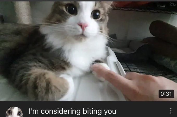 @Kill_Reagan https://t.co/ffnwHI6kEe<a class="tags" target="_blank" title="On Twitter" href="/?out=eyJ0eXAiOiJKV1QiLCJhbGciOiJIUzUxMiJ9.eyJpYXQiOjE3MjE0ODcyMTEsImlzcyI6InR3cG9ybnN0YXJzLmNvbSIsIm5iZiI6MTcyMTQ4NzIxMSwiZXhwIjoxNzUzMDIzMjExLCJyZWRpcmVjdF91cmwiOiJodHRwczovL3R3aXR0ZXIuY29tL0tpbGxfUmVhZ2FuIn0.iI4MQoLVehE9wYFEuGFeShewD_n4A9x0yUnD07Xt07PmYBr2KqM3thOgcF-c244h1eVMztjND--lxmSmiiJQrQ">@Kill_Reagan</a><a href="/tag/femboy"class="tags"><span>#femboy</span></a>