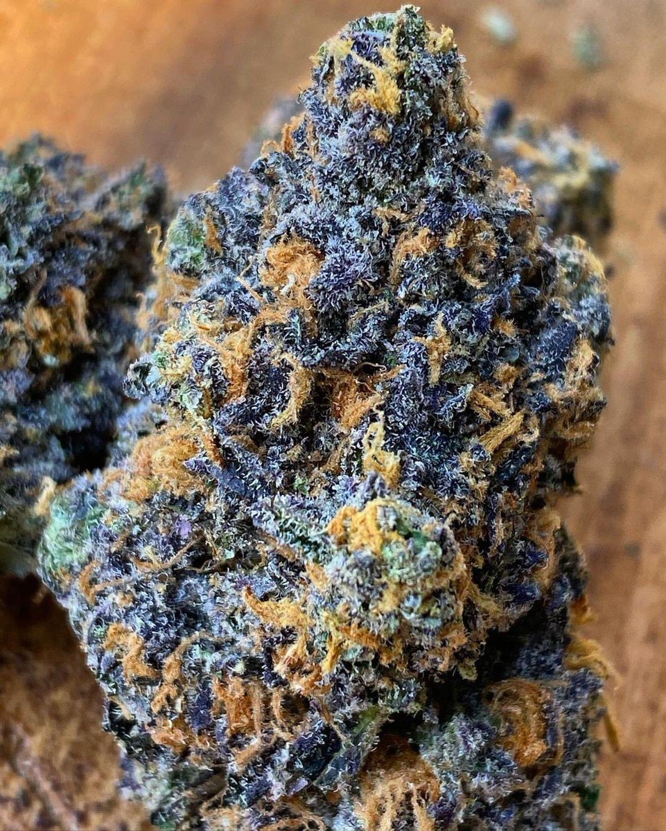 Rainbow Sherbert 11 🌱🍁

Beautiful nugs 🤤

#Weedmob #cannabisculture #WeedLovers #Mmemberville #cannabisusa #Weed  #growyourown #420community #CannabisCommunity #cannabisindustry #Growmies #cannabisculture