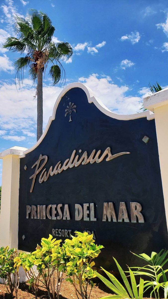 Good morning from #ParadisusPrincesadelMar ☀️ We wish you all a wonderful week from our lovely #resort 
ow.ly/PPbo50OVGNO

#MeliaCuba #CubaTravel #VaraderoTravel #meliahotels #ViveYPunto