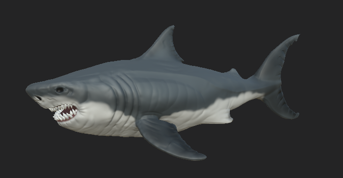 Shark for Sea Of Pirate!
#roblox #RobloxDevs