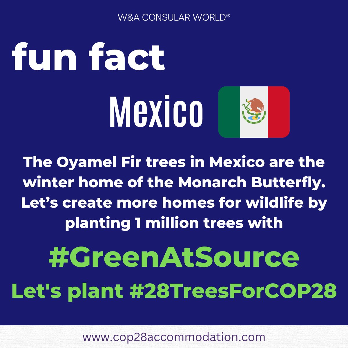 greenatsource's tweet photo. For every inquiry for #COP28UAE sustainable accommodation &amp; transport services, W&amp;A Consular World® will plant 28 trees! If you are looking for sustainable services for your #COP28 delegation, write to info@cop28accommodation.com
#WAConsularWorld #TreeTrivia
@UNFCCC @COP28_UAE https://t.co/5ZRIDfUXnT