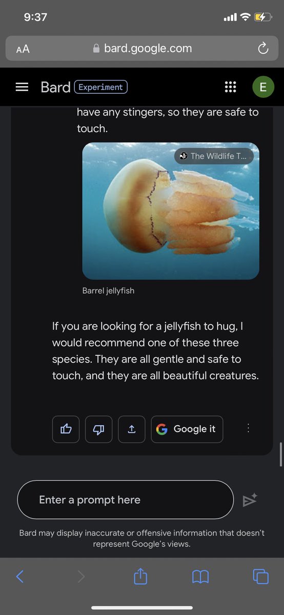 This is what we should use AI for