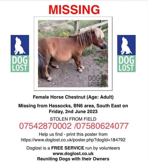 MissingPetsGB's tweet photo. Trouble is still #missing.

She is a falabella breed 
#stolen from her field on lodge lane #BN6 Sussex between 10pm friday 2/06/2023-9am Saturday 3/06/2023

She’s unsuitable for riding, driving &amp; cannot breed. She’s a family pet &amp; they want her home safely https://t.co/FpjaWh6Bki