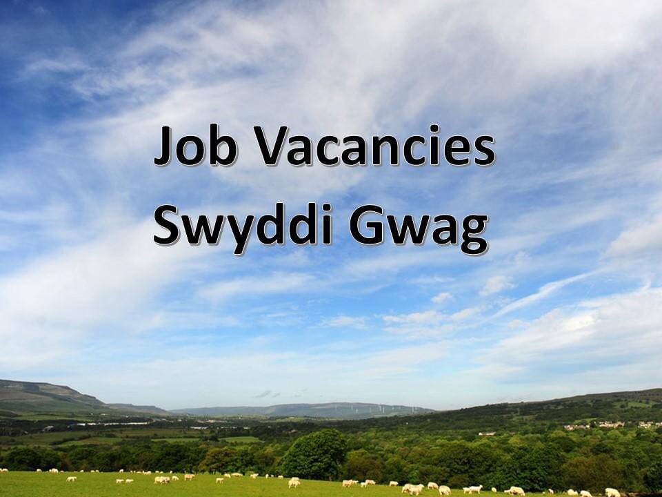 HybuCigCymru's tweet photo. We are recruiting! The closing date for the following posts is this Friday, 30 June. 

👉🏻 Digital Communications Senior Officer 
👉🏻 Market Development Executive x 2
👉🏻 Head of Supply Chain Delivery

🔗 https://t.co/52shvlJq4P https://t.co/0MIDxB9DIc