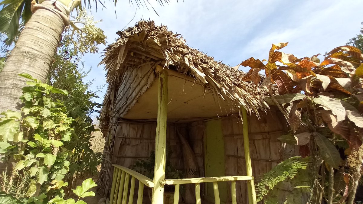 NoeNoesalas1513's tweet photo. Bohio de yagua en el campo, la vida del campo es saludable, #Bohio #republicadominicana https://t.co/7qwqHNp7rb