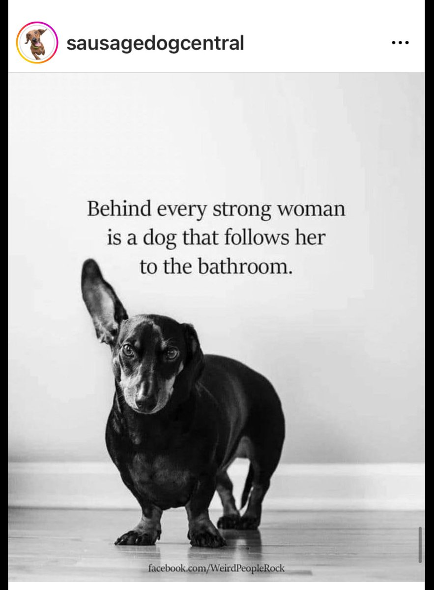 Antoinnette Scheulderman tweet media