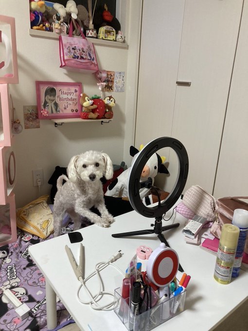 Twitterのコスプレ画像9