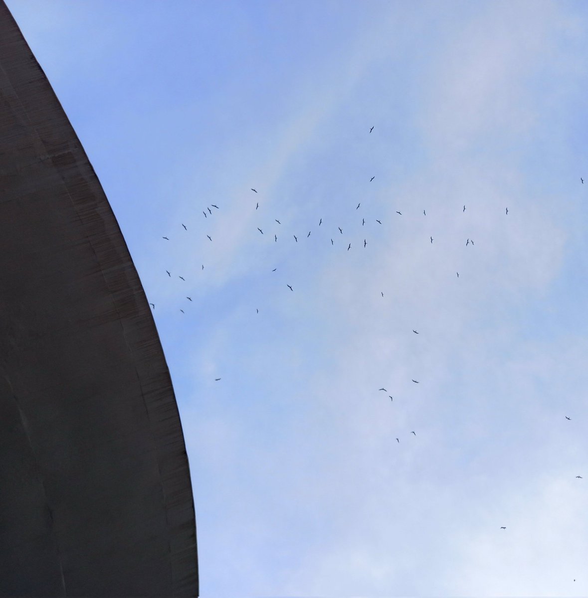 Ana Fontelles (@anaffontelles) on Twitter photo 