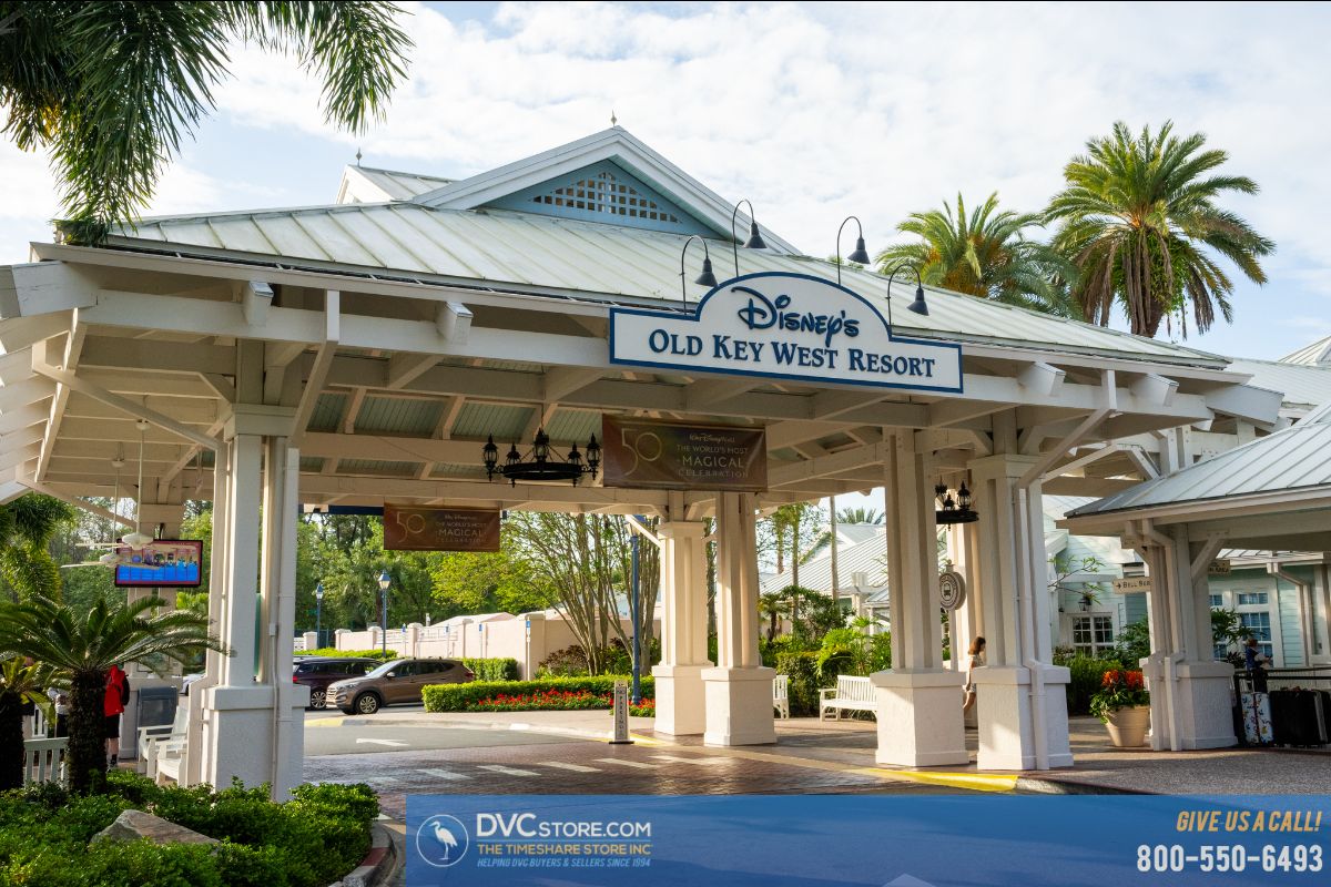 dvcstore tweet picture