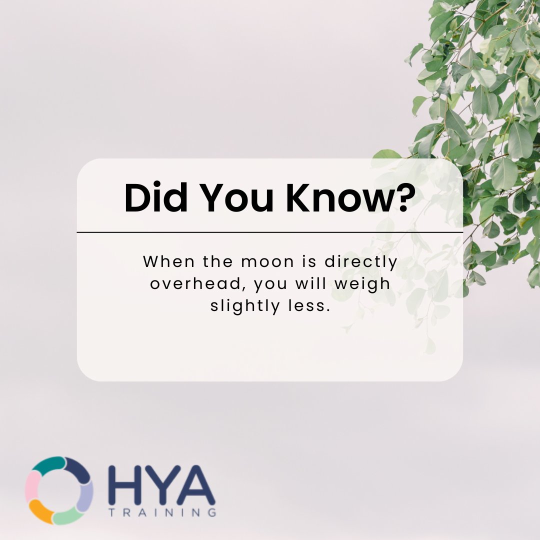 Monday weighing you down? Wait for the moon to watch the pounds float away.

#HYATraining #StartHereGoAnywhere #Hull #Education #Funfacts #Glastonbury #MondayMotivation
