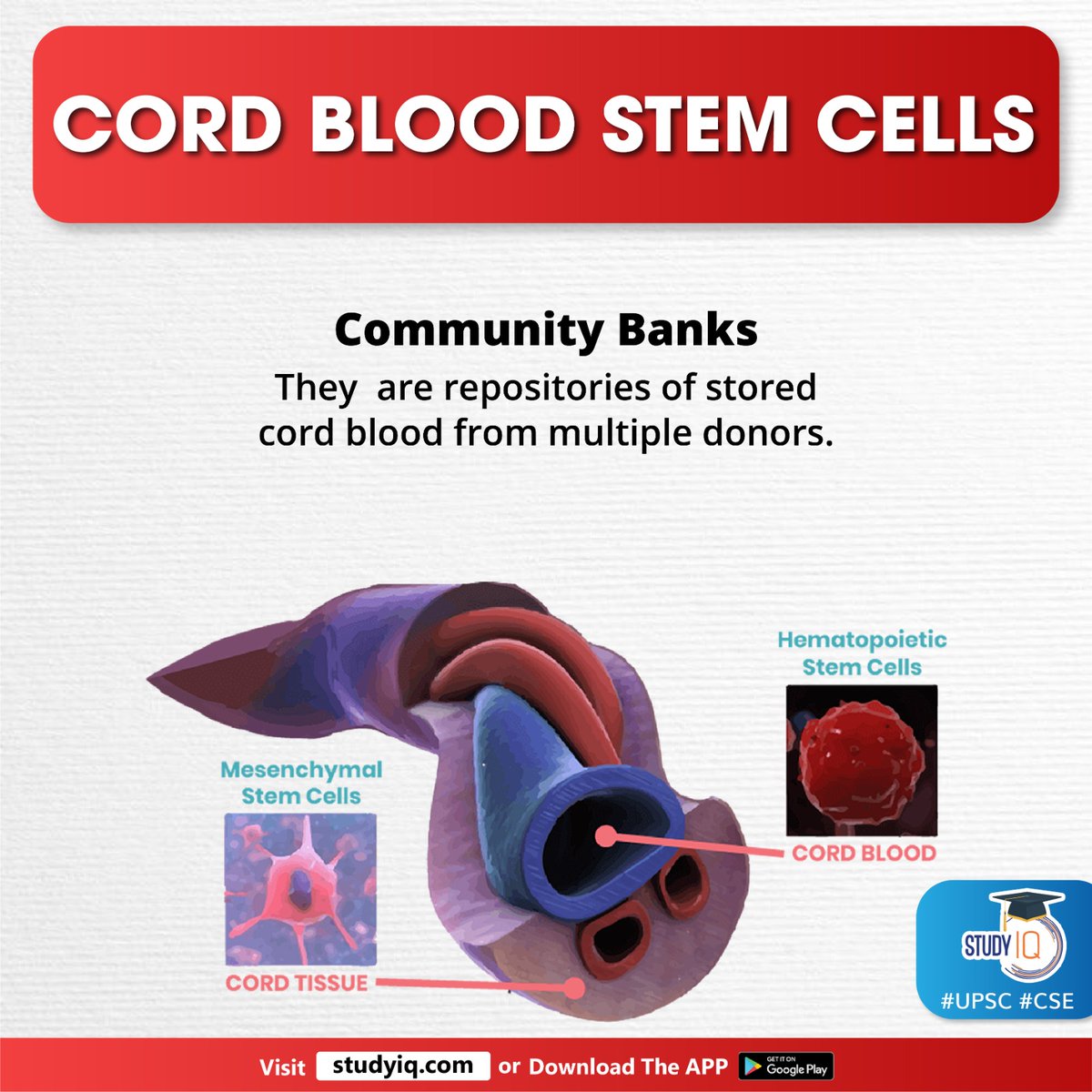 Cord Blood Stem Cells

#cordbloodstemcells #bloodbanking #biologicalisurance #medicine #hypothetical #umbilicalcord #oxygen #typesofcells #stemcells #immunesystem #geneticdisorders #diseasedcells #hsct #donors #cordblood #upsc #cse #ips #ias