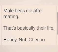 woofknight's tweet image. 