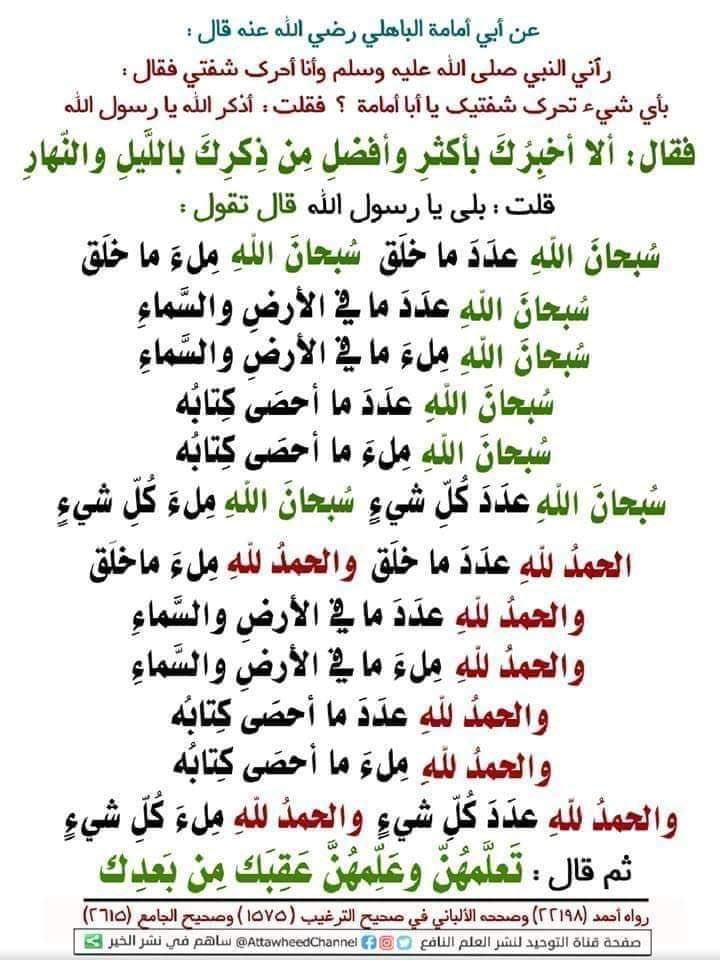 ﴿ ويذكروا اسم الله في أيام معلومات﴾ #يوم_الترويه الذكر المضاعف أوصى النبي ﷺ الصحابي أبي أمامة الباهلي رضي الله عنه بكلماتٍ ثم قال: (تَعلّمهن وعلِّمهُنّ عَقِبَك من بعدك)