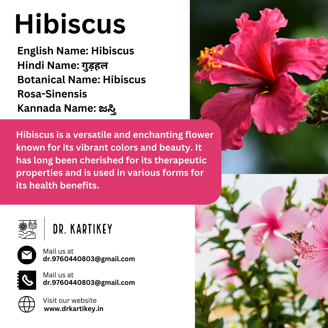 Hibiscus

#drkartikeytyagi #hibiscus
#benefits #haridwar #dehradun #food #everydaynutrition #bloating #antiinflammatorydiet #plantfoods #ayurvedalifestyle #ayurveda #healthylifestyl #drkartikeytyagi #bupleurum #benefits #haridwar #dehradun #food #everydaynutrition #bloating