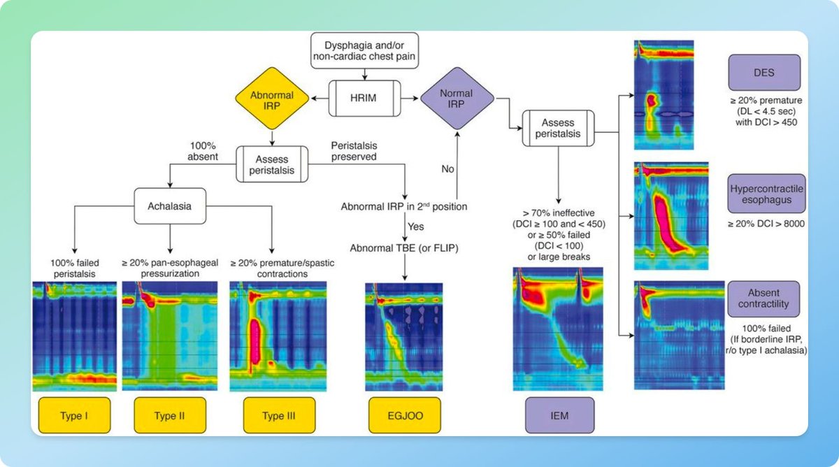 EndoCollabcom's tweet photo. Algorithm for Diagnosis and Management of Esophageal Dysmotility Disorders https://t.co/fkbxVyP6V1