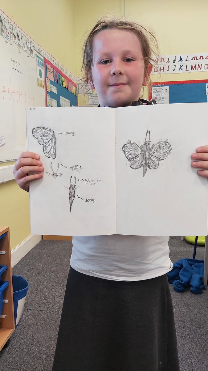 Some fantastic observational drawing from 5M today, focusing on butterflies ahead of our project with Eleanor Tomlinson! The children had to look at and draw each part of the butterfly before putting it all together. #wclpsart