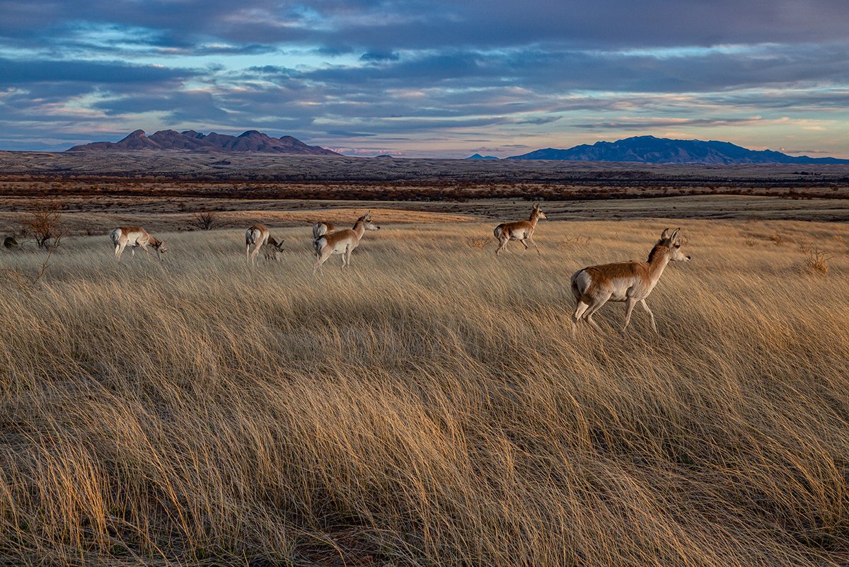 Interior is working to protect the health and productivity of our public lands from the pressures of degrading landscapes, wildfires and drought to ensure we can pass them down to future generations.

Photo by Alan Nyiri