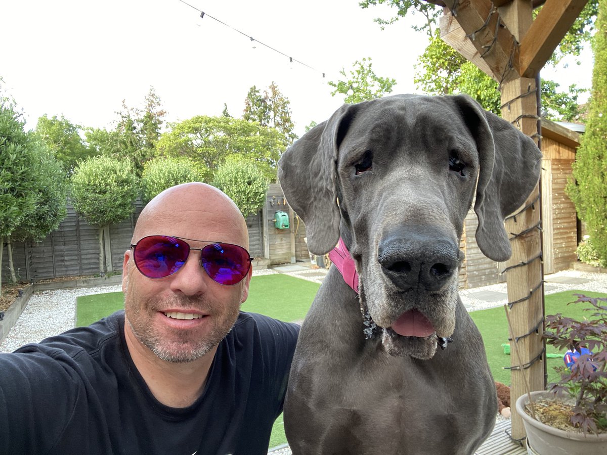 Love my Molly #greatdane