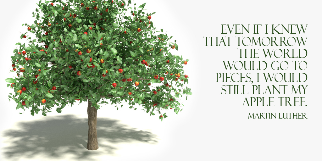 Even if I knew that tomorrow the world would go to pieces, I would still plant my apple tree. -Martin Luther #quote
#MLKDAY