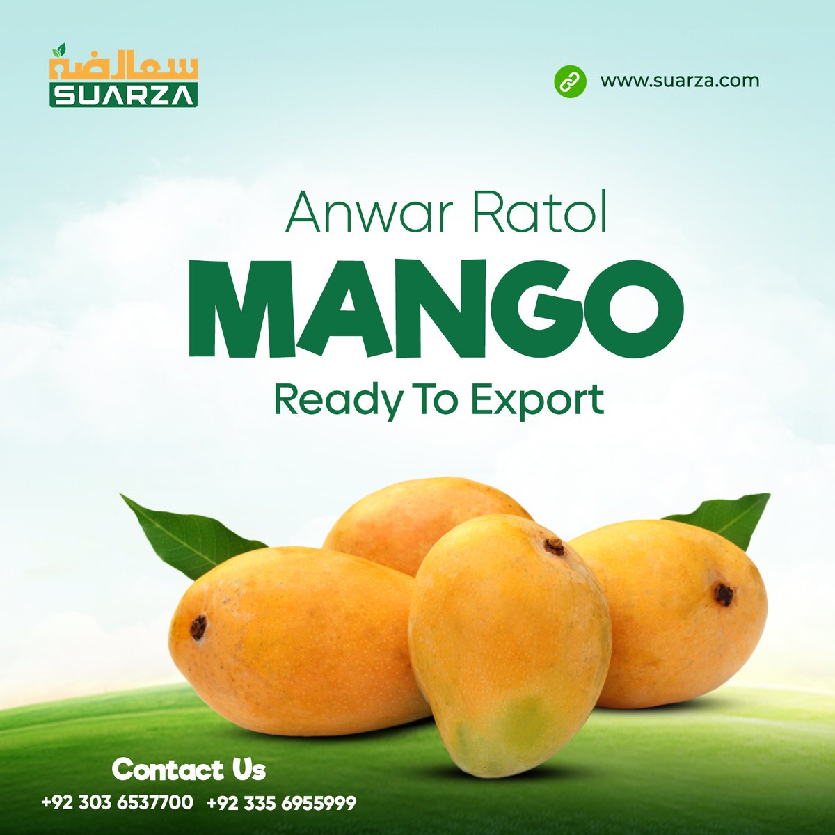 suarzagroup's tweet photo. Fresh Mango Ready To Export

Order Online
https://t.co/4pDjXKkul7

Contact Us
+92 335 6955999
+92 303 6537700

#suarza #ready #Export #sunehra #Pakistan https://t.co/ymseWSJqs2