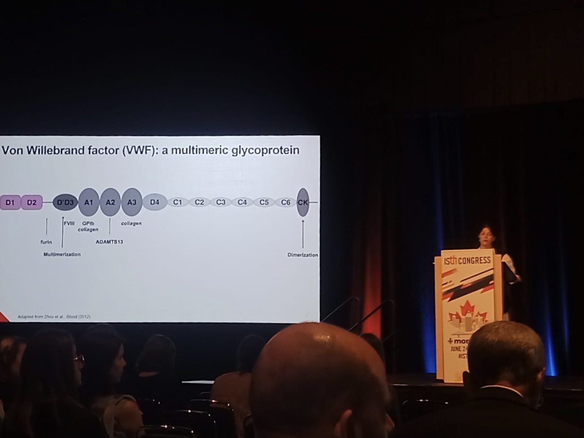Very happy to have presented our data on #VWF trafficking and glycosylation at #ISTH2023. Special thanks to my supervisor @ProfJSODonnell, my colleagues at @RCSI_Irl @RCSIPharmBioMol @IrishCtrVascBio and our collaborators!