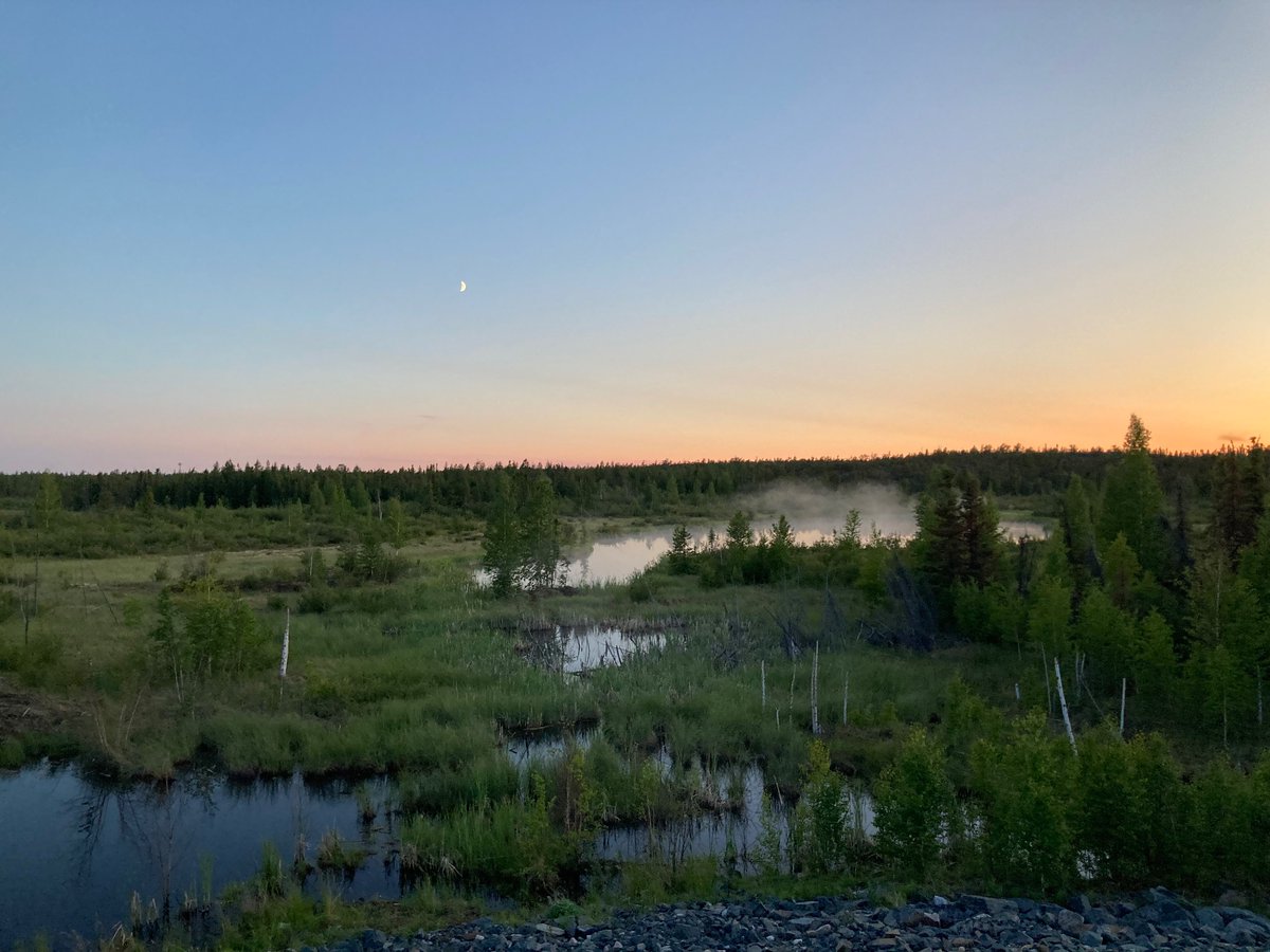 I did a crazy thing (Yellowknife’s 6/12/24 Ultra) and ran for 24 hours. It never got dark, I caught the elusive northern-summer-sunrise, and I saw a wolf! I love my sore leggies and I love it here.