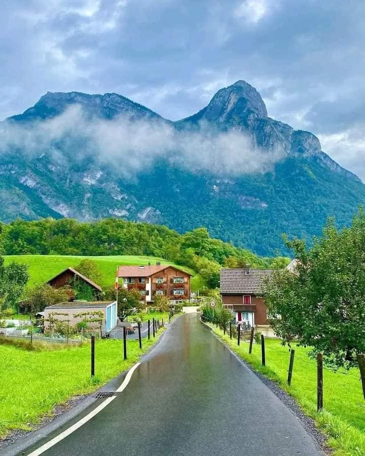 artindetails's tweet photo. peaceful view https://t.co/6gLO4csA0W