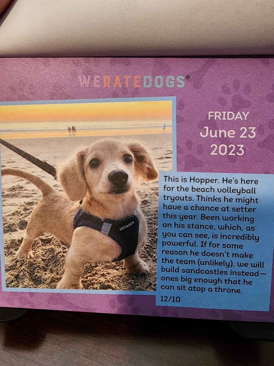 TheDoggPack tweet media