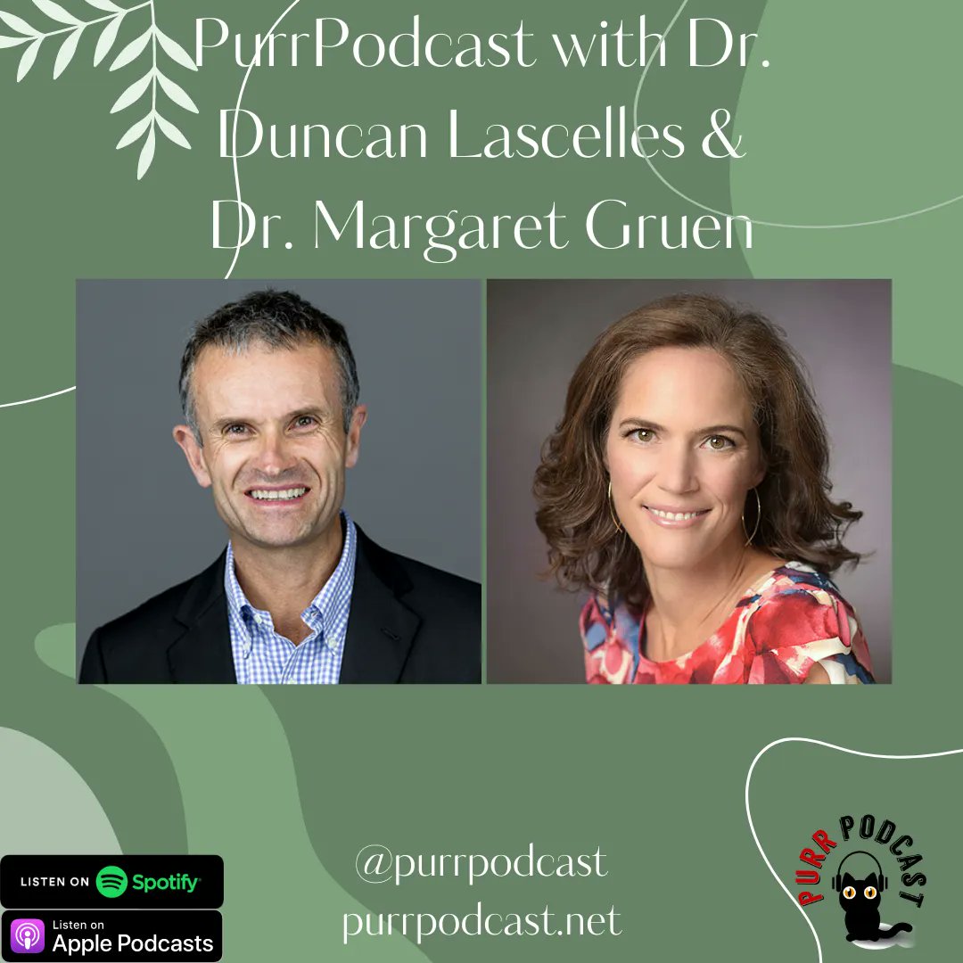 PurrPodcast's tweet photo. We had the amazing Dr. Duncan Lascelles &amp; Dr. Margaret Gruen on for an excellent chat!
https://t.co/fLEJiYdH16 
#Cats #Vetmed #Feline #Podcast https://t.co/H65K4gyjhf