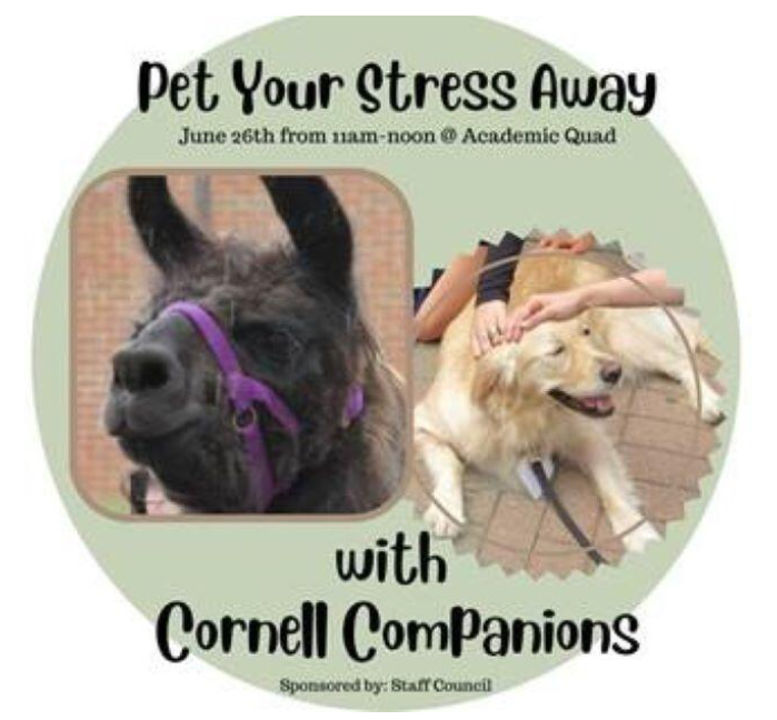 ithacalibrary's tweet photo. Late-for-Breakfast and Sybil from Cornell Companions will be visiting us today, June 26th, from 11 am - noon. Stop by and say hello! https://t.co/8NYhgryaHj
