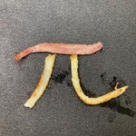 これが本当の『ベーコンポテトパイ』!？衝撃の写真に笑わずにはいられないw