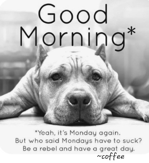 Your_Coffee_Fix's tweet image. #GetYourFix☕️#MondaysBeLike #CoffeePeeps