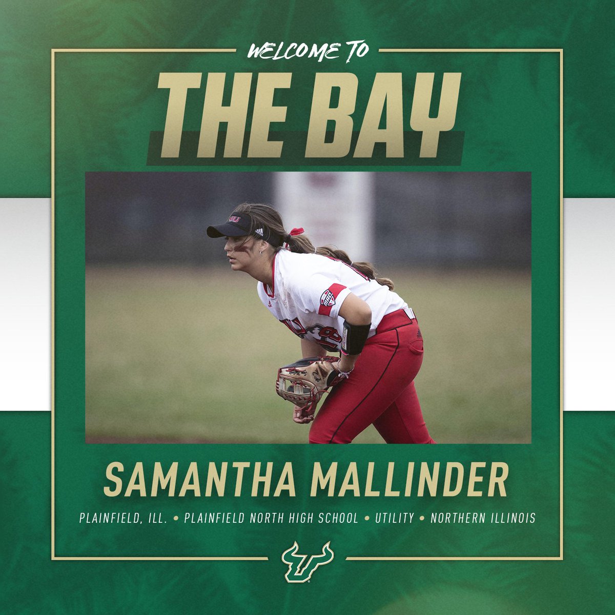 Welcome to the Bay, Sam!

#HornsUp🤘 x #BucStrong