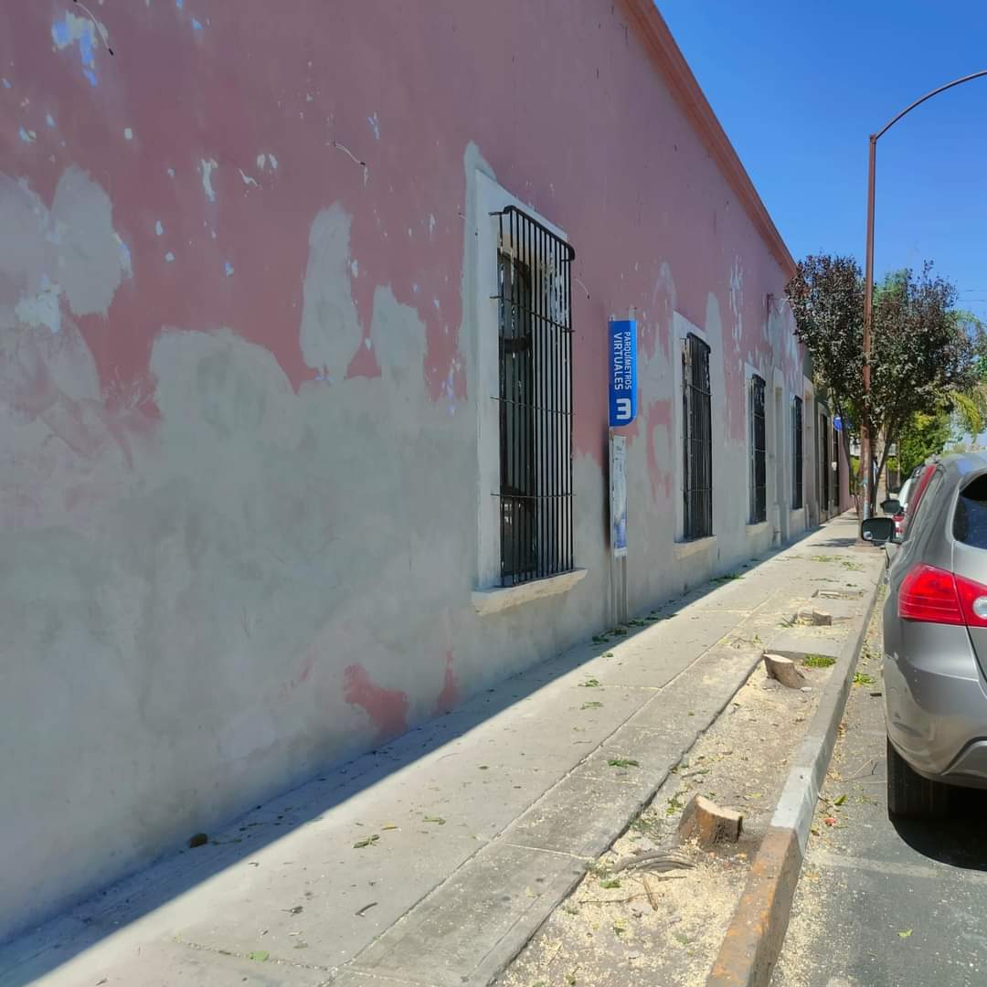 amelia salas chacon tweet media