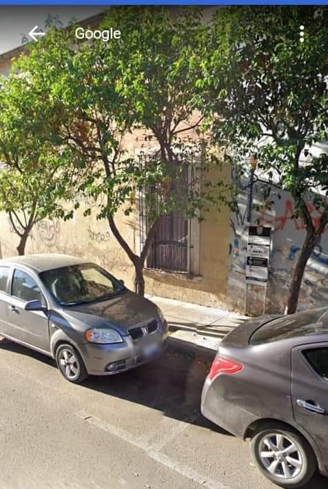 amelia salas chacon tweet media