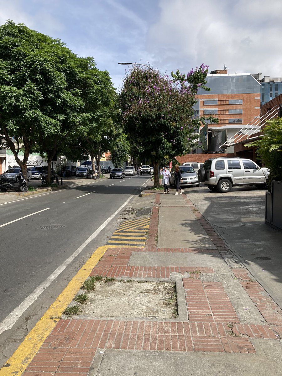 PlantadosCCS's tweet image. El panorama actual de #LasMercedes:
—más torres de arquitectura genérica de lujo, con fachadas de muro cortina, y menos edificaciones patrimoniales.
—menos árboles (hasta falsificación de estos con palmeras plásticas)
—aceras como estacionamiento.

Tocará revertir este desastre.