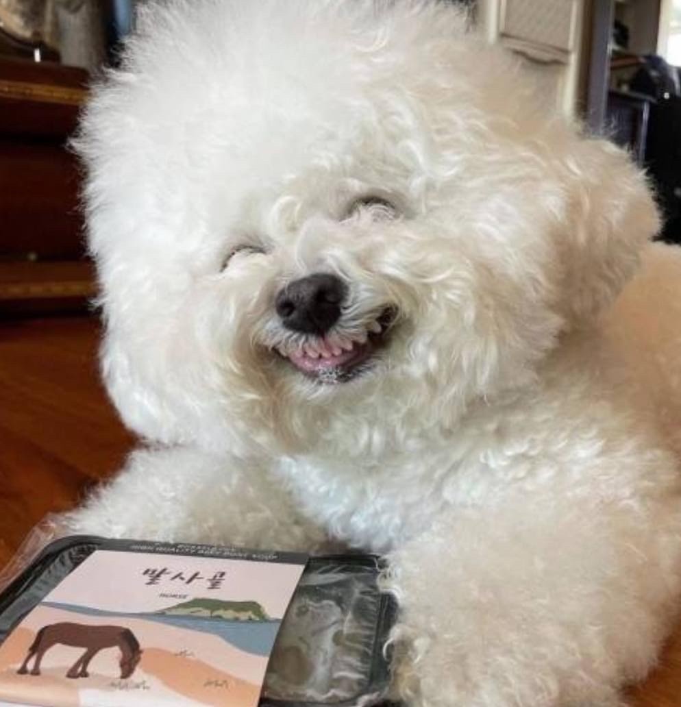 ㅋ
