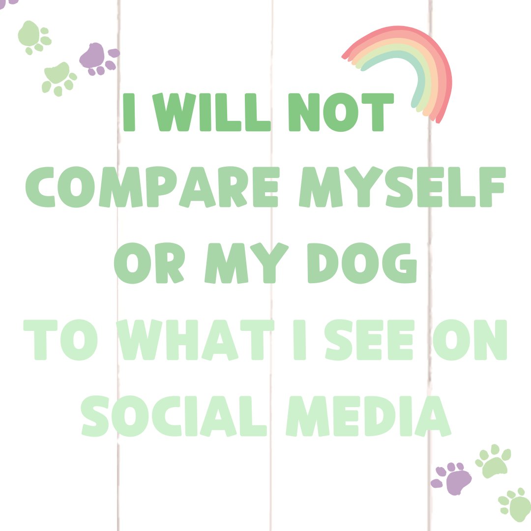NatureGnaws's tweet image. 💚Repeat after me 💚
I will not compare myself or my dog to what I see on social media

#mondaythoughts #muttsoftwitter #naturaldogproducts #dogsforlife #dogsareawesome #puppiesmakemehappy #dogmomquotes #dogchews #naturegnaws #loveyourpets #mondaymotivation