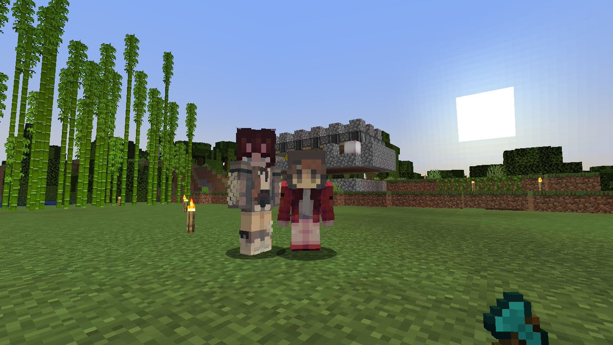 Sonic_therat's tweet image. We&apos;re so cool
#shellcraft #shellcraftsmp