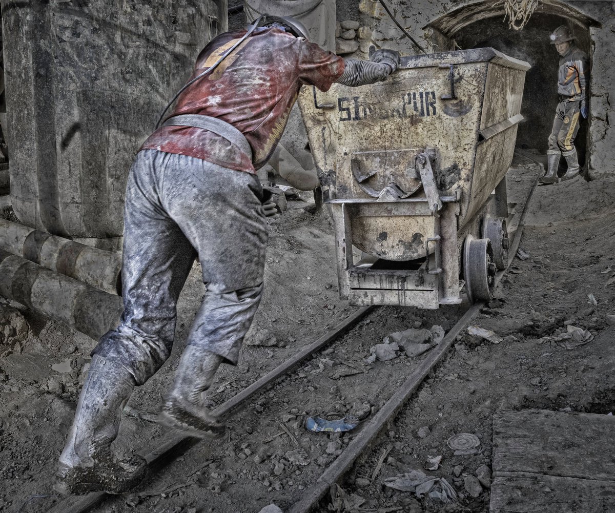 Grete Howard tweet media