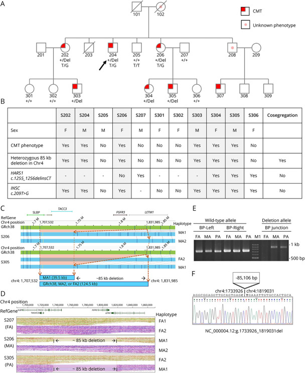 ahastie87's tweet photo. Nice paper from UCSF and National Taiwan university describing the discovery of a new microdeletion involved in Charcot-Marie-Tooth Disease by optical genome mapping @bionano 
https://t.co/6iJ0Gf3od6 https://t.co/tXR7UBxJK5