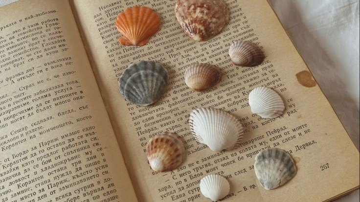 𝙳𝚊𝚛𝚔 𝚊𝚌𝚊𝚍𝚎𝚖𝚒𝚊 𝚍𝚛𝚎𝚊𝚖𝚜 tweet media