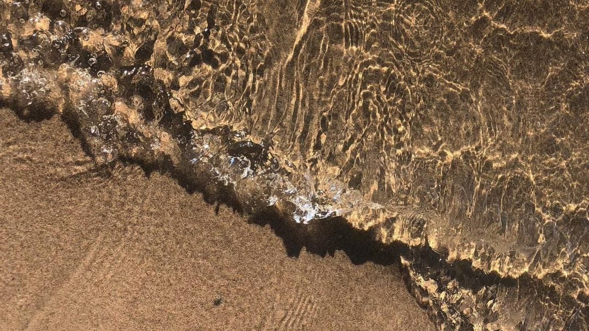 𝙳𝚊𝚛𝚔 𝚊𝚌𝚊𝚍𝚎𝚖𝚒𝚊 𝚍𝚛𝚎𝚊𝚖𝚜 tweet media